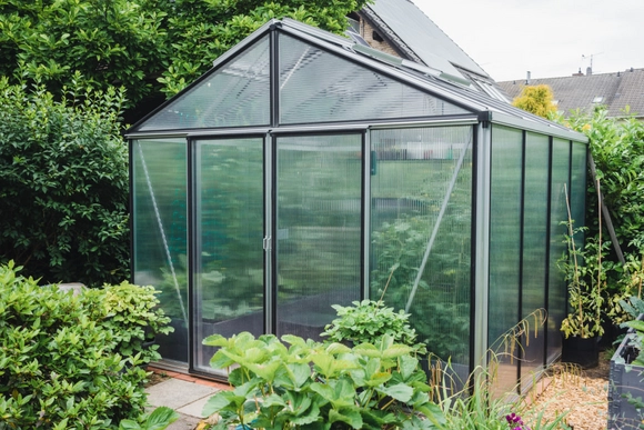 Gewächshaus mit schwarzen Streben in einem grünen Garten.